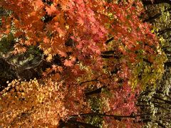 -本溪老边沟风景区