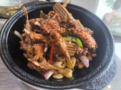 -港升鱼师傅·中山脆肉鲩