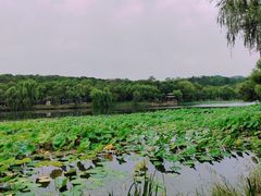-承德避暑山庄景区