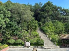 -铁山坪森林公园