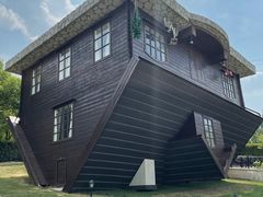-金山农民画村-枫泾波兰倒置屋