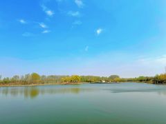 -东郊湿地公园