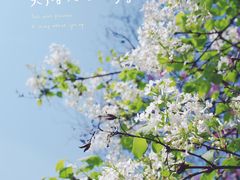 -金银湖国家城市湿地公园