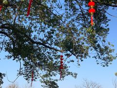 -良渚文化村