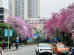 -柳侯公园