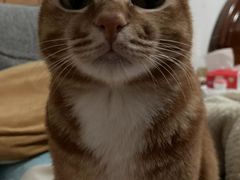 -拜鲁耶动物诊疗中心·宠家动物医院