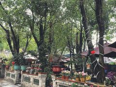 -园林美食城·本土农家菜(杨和镇店)