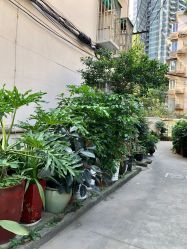 -EasyLady美甲沙龙