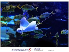 -左海海底世界