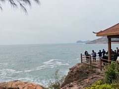 -广东惠东海龟国家级自然保护区