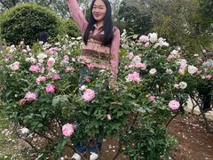 -人民公园(罗湖区)