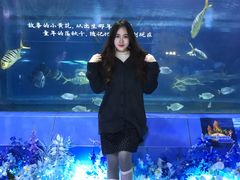 -重庆欢乐海底世界