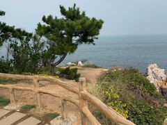 -养马岛旅游度假区