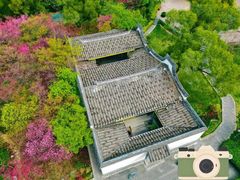 -金鸡山公园