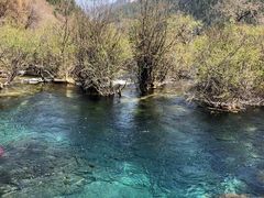 -九寨沟爱情海景区