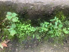 -西安祥峪森林公园