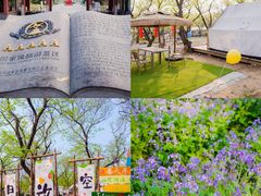 -沂蒙山旅游区龟蒙景区