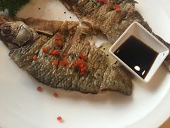 -田园小观园(武大店)