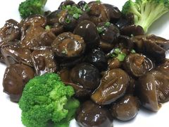 -楚灶王(徐东店)