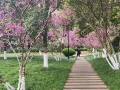 -龙头寺公园