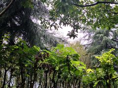 -白塘生态植物园