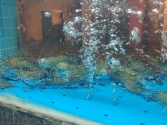 -小林哥的海鲜馆·夜宵烧烤(渔人码头店)