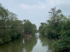 -南汇桃花村