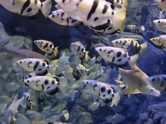 -成都浩海立方海洋公园