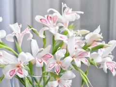 -誉八仙酒楼(静安大悦城店)