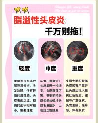 -Bollins波林丝•专研护发中心