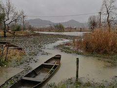 -白塔湖国家湿地公园