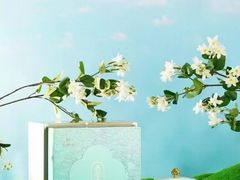 -华祥苑茶馆•国缤茶小蓝罐(普罗旺斯店)