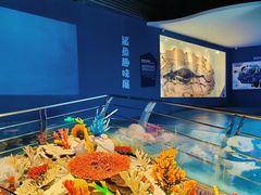 -重庆欢乐海底世界
