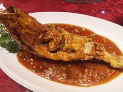 -海岛渔村大酒店(云霄路店)