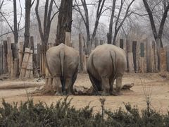 -北京野生动物园