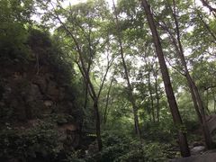 -大岭沟猕猴桃谷风景区