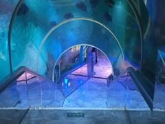 -瑞德姆美人鱼海底演艺主题餐厅(亚龙湾店)