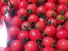 -菜园坝水果市场