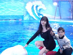 -海合安成都极地海洋公园