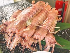 -渔娘渔家丹东海鲜(东直门店)