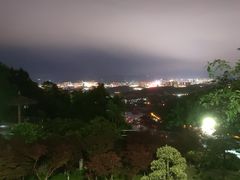 -金水泊山庄·花椒鸡(铁山坪店)
