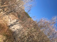 -喇嘛山国家森林公园