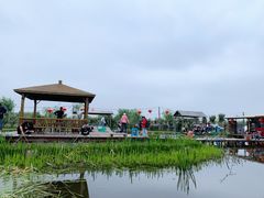 -同銮特种养殖场·龙虾垂钓