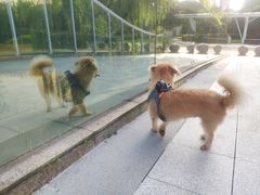 -九里河湿地公园