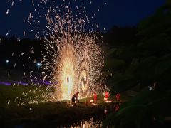 -大塘金香草谷