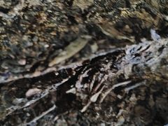 -周家大厨房(三原店)