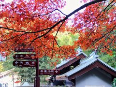 -岳麓山风景名胜区