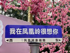 -北京凤凰岭