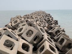 -东疆建设开发纪念公园