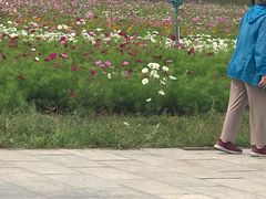 -坝上草原大汗行宫旅游景区